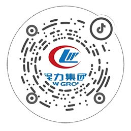 bg大游集团官方抖音号